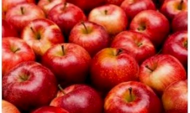 सीए स्टोर से किसानों की आर्थिकी होगी सुदृढ़......सेब के लिए हिमाचल दुनिया भर में प्रसिद्ध