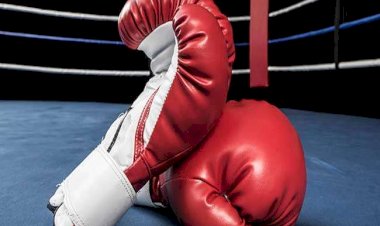 प्रदेश भर के मुक्केबाज दिखाएंगे अपना दमखम......: