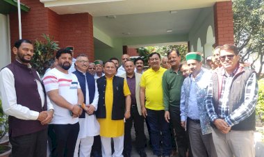 हिमाचल  में भांग की खेती की अपार संभावनाएं हैं- राजस्व मंत्री....