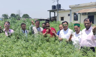 समिति ने उत्तराखंड में भांग के खेतों में जाकर जानी खेती की व्यवहारिकता...... जगत सिंह नेगी, सुंदर ठाकुर और अन्य विधायक रहे मौजूद.....