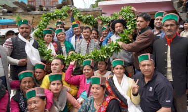 सरकार  भूमिहीन लोगों को नो-तोड़ के तहत भूमि उपलब्ध करवाने की दिशा में निरंतर कार्य कर रही है...... जिला किन्नौर के बागवानों को 50 करोड़ रुपये खर्च कर प्रदान किए जाएंगे 20 लाख पौधे - जगत सिंह नेगी.........