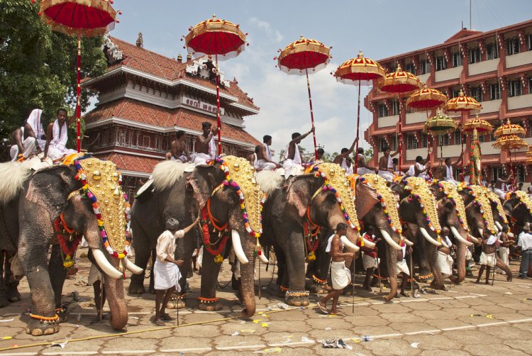 केरल में हिन्दुओं का....... त्रिशूर पूरम उत्सव शुरू वडक्कुनाथन मंदिर के जुलूस में हाथियों की शानदार परेड ......