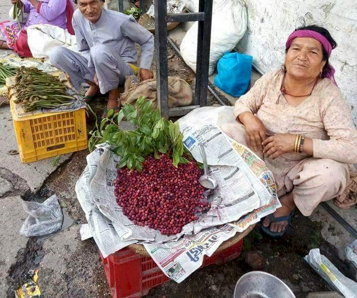 स्वाद व औषधीय गुणों से..... भरपूर जंगली फल काफल...
