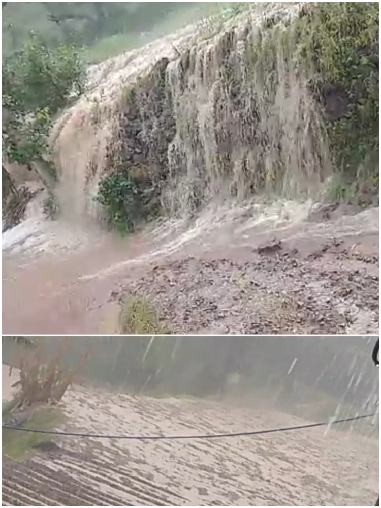 रेणुका विधानसभा की कोटला मोलर पंचायत में बारिश ने मचाई तबाही,..... भारी बारिश से सिरमौर जिला में किसानों को बड़ा नुकसान,......