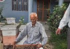 सफलता की कहानी .......नौकरी की क्या जरुरत? .... जब घर में ही पैदा कर रहे लाखों का शहद......गोपाल चंद कपूर के परिवार की....... 3 पीढिय़ां एक साथ जुटी हैं शहद के उत्पादन एवं कारोबार में