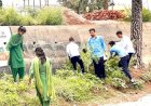 हमीरपुर में आईटीआई प्रशिक्षुओं ने उखाड़ी भांग