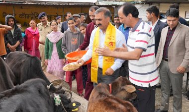 मुख्यमंत्री ने टूटू में श्री कामनापूर्ण गौशाला का निरीक्षण किया.....