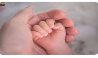 राजगढ़ में  मानवता   शर्मसार.....  अस्पताल के शौचालय में मिला नवजात का शव....