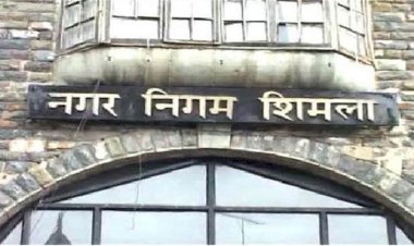 नगर निगम में .......स्थानीय विधायक की  टिप्पणी 300 के करीब कर्मचारी मुफ्त में बिना काम के तनख्वाह ले रहे तर्कसंगत नहीं .....संजय सूद