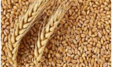 पीडीएस के तहत ........ सुचारू रूप से उपलब्ध कराया जा रहा सस्ता राशन......-विजय सिंह