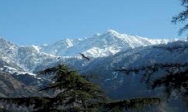 धर्मशाला में नाबार्ड बनाएगा नई सडक़ें, करोड़ों का बजट मंजूर : सुधीर शर्मा