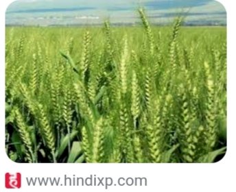 एशियन विकास बैंक, भारत सरकार तथा हिमाचल सरकार के मध्य ऋण समझौते पर हस्ताक्षर....... 8 जून को होंगे समझौते पर हस्ताक्षर...  एचपी शिवा परियोजना के लिए