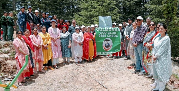 चियोग बाजार में बच्चों ने निकाली पर्यावरण जागरूकता रैली......