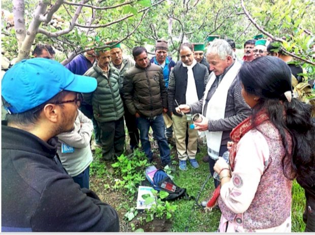 किन्नौर जिला के बटसेरी में...... आयोजित किया गया बागवानी विकास प्रशिक्षण शिविर.....