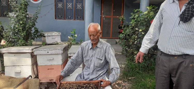 सफलता की कहानी .......नौकरी की क्या जरुरत? .... जब घर में ही पैदा कर रहे लाखों का शहद......गोपाल चंद कपूर के परिवार की....... 3 पीढिय़ां एक साथ जुटी हैं शहद के उत्पादन एवं कारोबार में