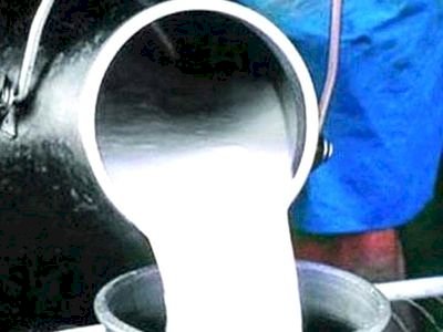 हिम गंगा योजना: दूध आधारित अर्थव्यवस्था की ओर बढ़ते कदम..... प्रथम चरण के लिए हिमाचल प्रदेश दुग्ध प्रसंघ को 20 करोड़ रुपये की अनुदान राशि स्वीकृत.....