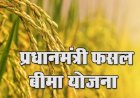 प्रधानमंत्री फसल बीमा योजना के तहत.. बीमा करवाने की अन्तिम तिथि 31 जुलाई..