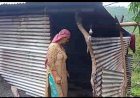 चादर के ढारे में परिवार सहित नारकीय जीवन यापन कर रही भागमती... बीपीएल में होने के बावजूद भी सरकार से नहंी मिली मकान बनाने की योजना...  ..
