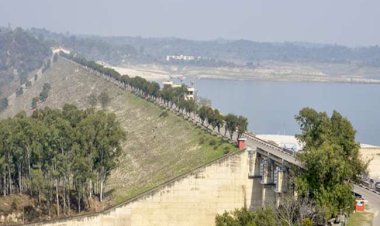 पंडोह–बग्गी टनल बंद होने से  पंडोह डैम में  जलस्तर बढ़ा, समय-समय पर खुलेंगे  डैम के  स्पिलवे गेट