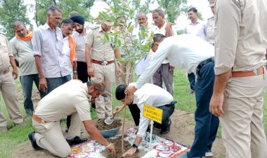 पर्यावरण संरक्षण के लिए पौधा रोपण जरूरी - राघव शर्मा.....उपायुक्त ने बसाल में रोपित किया बेहड़ा का औषधीय पौधा