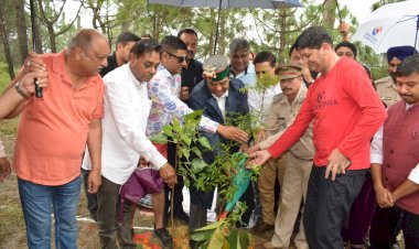 जीवन का आधार है वृक्ष .......आज पेड़ों की अवैज्ञानिक कटाई से पर्यावरण का संतुलन बिगड़ रहा है  शांडिल.....