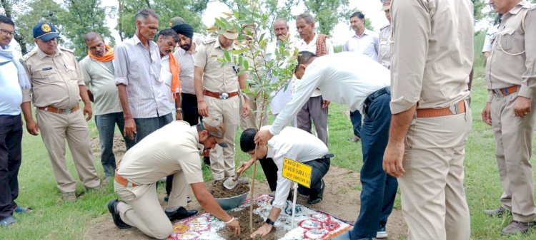 पर्यावरण संरक्षण के लिए पौधा रोपण जरूरी - राघव शर्मा.....उपायुक्त ने बसाल में रोपित किया बेहड़ा का औषधीय पौधा