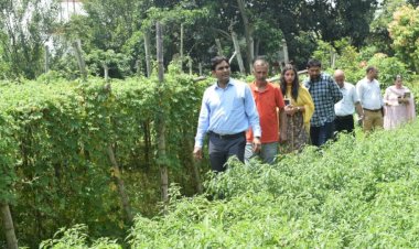 समूह बनाकर नकदी फसलों की खेती करें किसान ..... हेमराज बैरवा