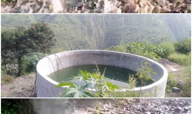 सिंचाई टैंक से अचानक गेटवाल खुलने से ट्राई में  मचा हड़कंप.......