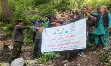 मेरी माटी मेरा देश पौध रोपण कार्यक्रम के तहत ग्राम पंचायत चांसू में 75 पौधे रोपे... नेहरू युवा केंद्र द्वारा कार्यक्रम का आयोजन किया गया....