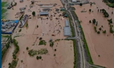 सुकेती खड्ड में आई बाढ़ से बल्ह घाटी के  घर-दुकाने सहित खेत  जलमग्न.......