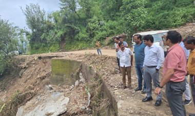 डीसी ने उहल, कक्कड़, जंगलबैरी में लिया नुक्सान का जायजा......