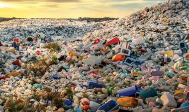 प्लास्टिक अपशिष्ट संसाधक केंद्रीकृत पोर्टल के तहत पंजीकरण करें सुनिश्चित......