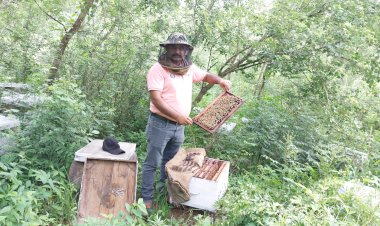 मौनपालन व्यवसाय ने दुलैहड़ के जसबीर की बदली तकदीर...... शहद से स्वरोजगार की मिठास, एक साल में 50 टन शहद का उत्पादन करके जसवीर कमा रहे करोड़ों रूपए.........