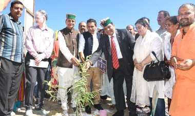 जलवायु के अनुरूप पौधारोपण करना आवश्यक - डा शांडिल