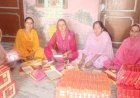 आत्मनिर्भरता की इबारत लिख रहे महिला स्वयं सहायता समूह...... जाहू में मिठाई के डिब्बे और भ्याड़ में बैग बनाकर अच्छी कमाई कर रही हैं महिलाएं.....