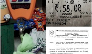 एचआरटीसी सोलन का कारनामा -अढाई किलो वजन का काट दिया आधा टिकट......