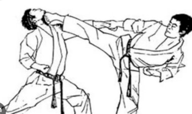 जेएनवी ऊना के विद्यार्थी कला उत्सव एवं राष्ट्रीय जूडो प्रतियोगिताओं में रहे अव्वल....