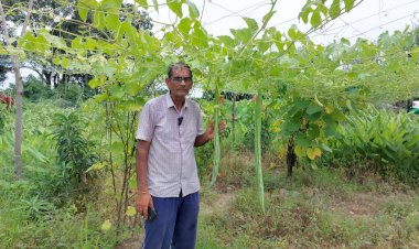 प्राकृतिक खेती को अपनाकर सफलता की कहानी लिखी...........  हरोली के प्रगतिशील किसान विजय कुमार ने, प्रतिमाह कमा रहे 20 हज़ार......