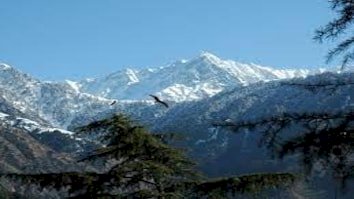 प्रदेश को हरित ऊर्जा राज्य के रूप में विकसित करने से ग्राम पंचायतों और युवाओं का होगा आर्थिक सशक्तिकरण
