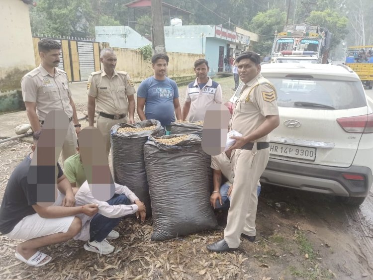 पुलिस ने 52,402 किलोग्राम चुरा पोस्त पकड़ा...... राजस्थान के चार युवकों दबोचा......