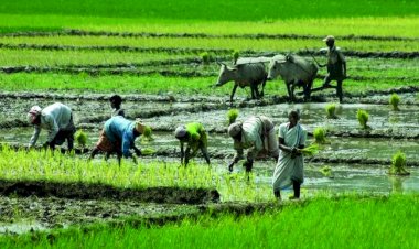सरकार ने सहकारी क्षेत्र में शुरू की 40 नई योजनाएं