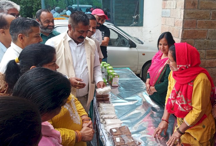 ऊना में 12282 किसान 1491.93 हेक्टेयर पर कर रहे प्राकृतिक खेती  आय में बढ़ौत्तरी करने के लिए प्राकृतिक खेती को अपनाएं किसान: रायजादा