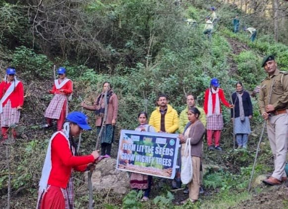 विशेष बीज बुआई अभियान के अंतर्गत वन अग्नि से प्रभावित क्षेत्रों में बधाह की 2500 कलमें रोपित रजनीश महाजन