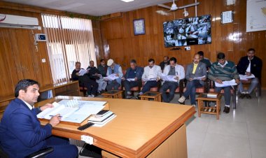 एससी-एसटी से अत्याचार के मामलों का हो त्वरित निपटारा, बैठक में डीसी ने दिए निर्देश