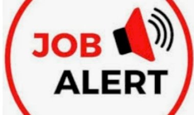 सोलन में शास्त्री अध्यापक के 31 पदों के लिए काउंसलिंग 10 जनवरी को