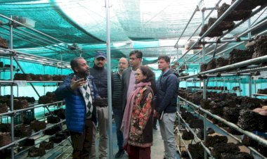 शिटाके मशरूम को पहचान दिलाने के लिए उठाए जाएंगे कारगर कदम :  कुमुद