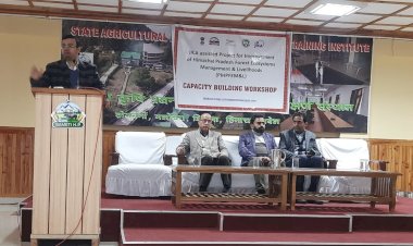 मशोबरा में डिप्टी रेंजर्स को पढ़ाया लेखांकन का पाठ