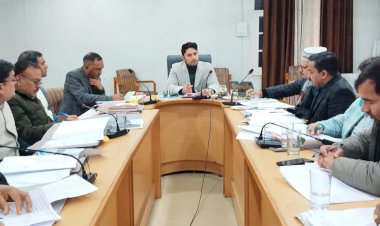 राजस्व संबंधी लंबित मामलों का शीघ्र समाधान किया जाए सुनिश्चित : उपायुक्त