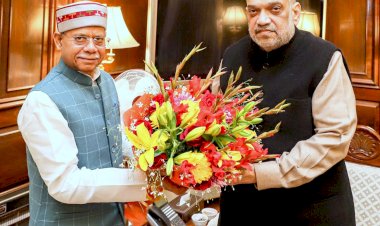 राज्यपाल ने गृह मंत्री से शिष्टाचार भेंट की