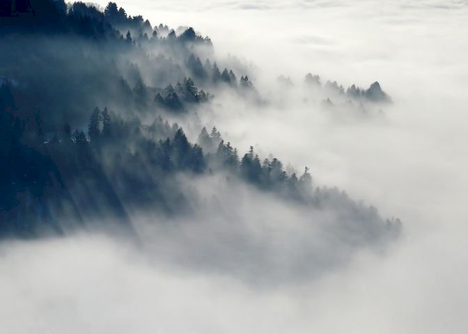 मैदानी इलाकों में चार दिनों तक घना कोहरा छाया रहेगा, येलो अलर्ट जारी